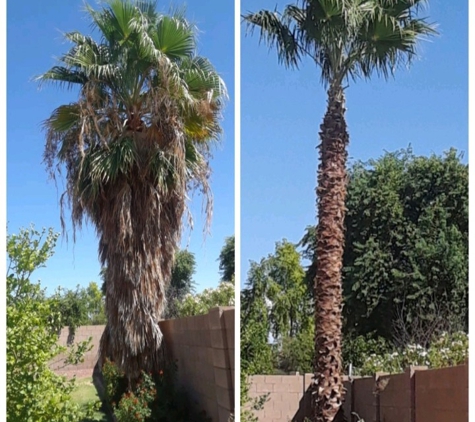 Phillip's Landscaping services - Chandler, AZ