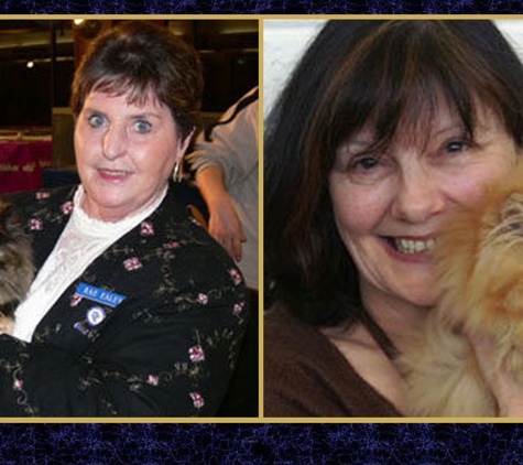 Canterbury Tails Boutique Boarding Cattery - Belgrave, VIC. Individual Attention On A Daily Basis