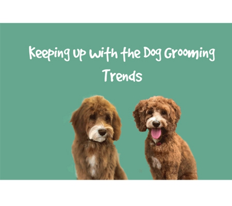 Foxy's Mobile Dog Washing & Grooming Service - Hawthorn, VIC