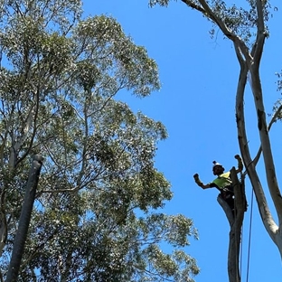Micks Tree Worx - Coes Creek, QLD