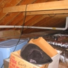 Radon Zapper gallery