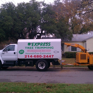 Express Tree Trimming - Dallas, TX