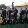 Mariachi Azteca gallery