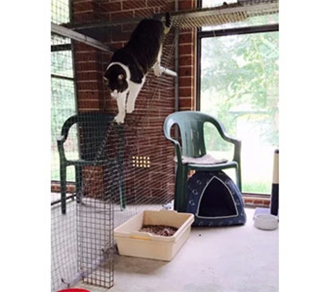 Glenhaven Boarding Cattery - Glenhaven, NSW