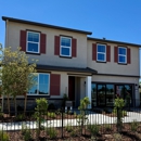 Sunrise at Homestead by Richmond American - Real Estate Developers