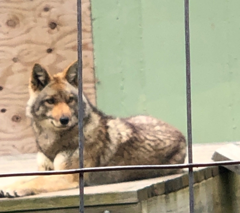 Ross Park Zoo - Binghamton, NY