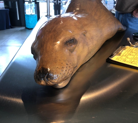 Marine Mammal Center