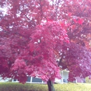 New Milford Public Library - Libraries