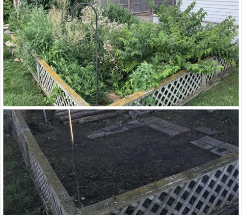 Clean it up! Property Services - Lambertville, MI. Garden overgrowth