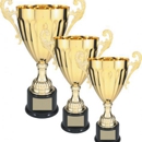 Blizzard Trophies Inc - Arts & Crafts Supplies