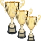 Blizzard Trophies Inc