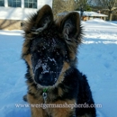 West German Shepherds.com - Dog Training