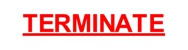 Terminate Pty Ltd - Bee & Wasp Removal