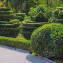 M & M Enterprise - Landscape Designers & Consultants