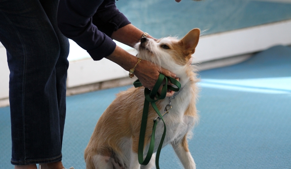 Happiness Country Kennels - Sunol, CA