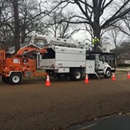 Clipper Tree & Landscape - Arborists