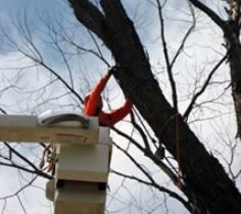 Foley's Tree Service - Tomahawk, WI