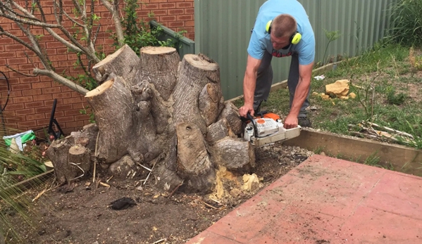 Central Coast Tree Removal - Kanwal, NSW