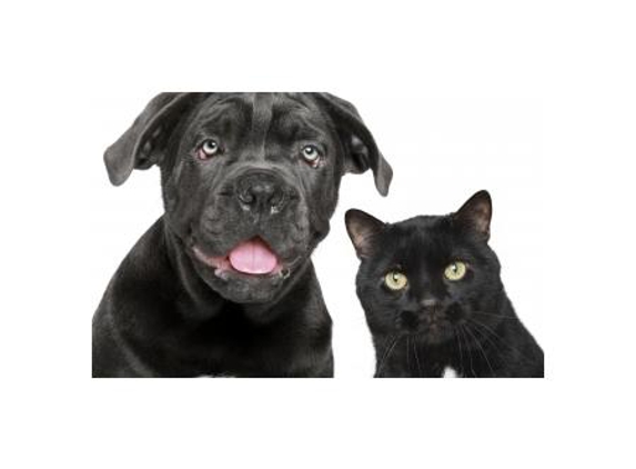 Warwick Town & Country Vets - Warwick, QLD