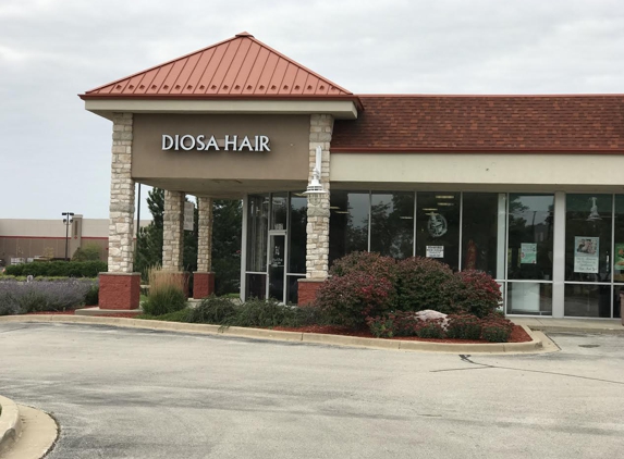 Diosa Hair - Franklin, WI