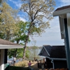 Precision Tree Removal gallery