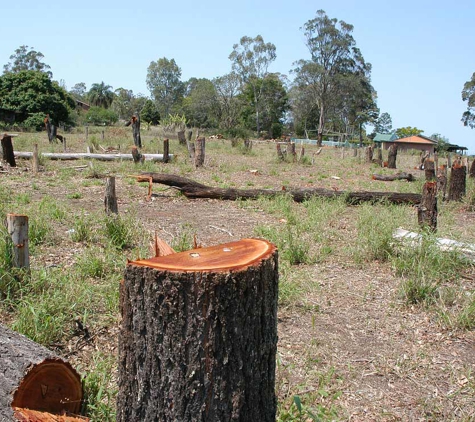 A Accurate Tree Services - Joyner, QLD