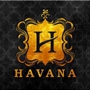 Havana Cigars