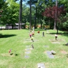 Pet Memorial Park gallery