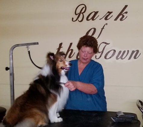 Bark of the Town Pet Salon - Muncie, IN