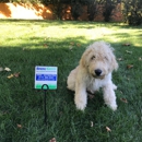 Spring-Green Lawn Care - Lawn Maintenance