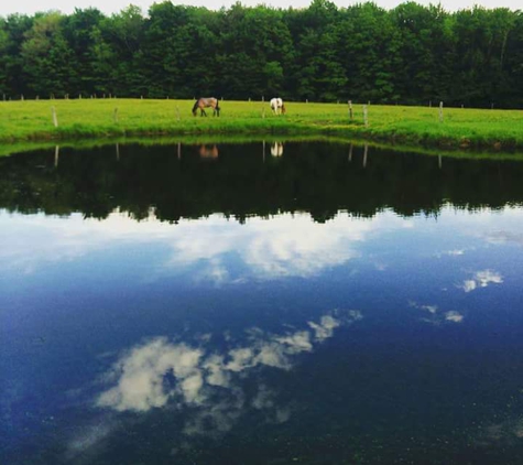 Higby Hollow Boarding Stables - Conneaut, OH