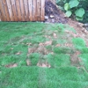 TruGreen Lawn Care gallery