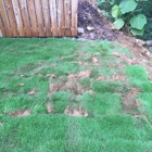 TruGreen Lawn Care