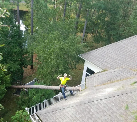 Tri State Tree Service - Fort Walton Beach, FL