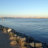 Shelter Island Shoreline Park gallery