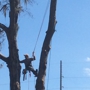 Complete Tree Service