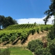 Freeman Vineyard & Winery