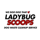 Ladybug Scoops Dog Waste Cleanup Service