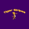 Tiger Stripes gallery