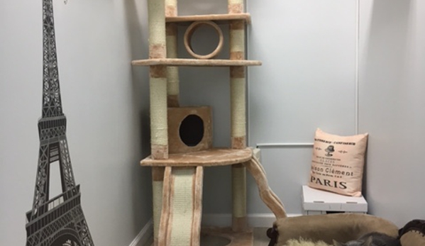 MeowLux Cat Hotel - Fort Lauderdale, FL