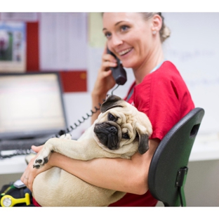 Brisbane Veterinary Emergency and Critical Care Service - Albany Creek, QLD