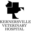 Kernersville Veterinary Hospital PA gallery