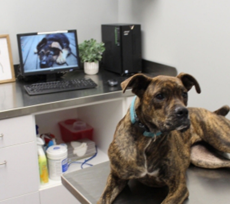 Butler Creek Animal Hospital - Kennesaw, GA