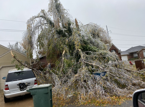 Malone's Property Management - Oklahoma City, OK. Malone's properties tree on my car.