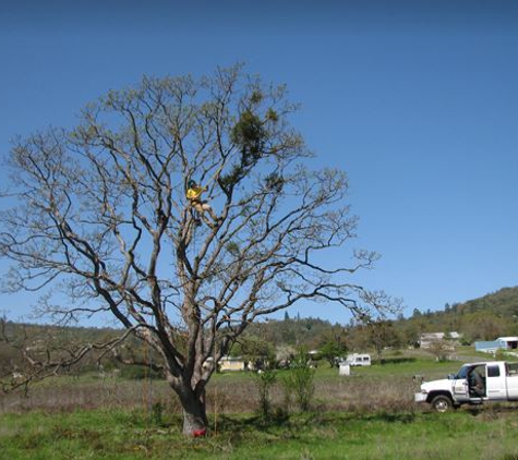 Southern Oregon Tree Care, LLC - Medford, OR. 3