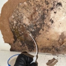 Engage Mold Solutions of Florida - Mold Remediation