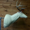 Wilderness Taxidermy gallery