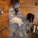 Naber's Taxidermy Inc - Taxidermists