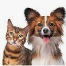 Junction Veterinary Clinic - Veterinary Clinics & Hospitals