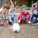 Timber Creek Farm and Forest SChool